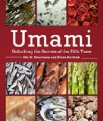 The Essence of Meaty Matters