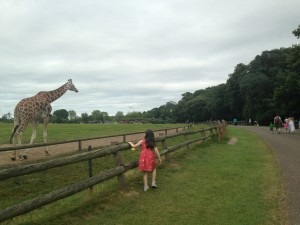 Green Events Weekend at Fota Sat 25th & Sun 26th