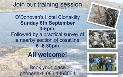 Learn how to survey the Coast –  training Clonakilty 6th Sept.