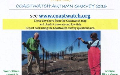 Coastwatch Survey 15th Sept – 15th Oct 2016