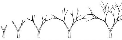 Tree Week Walk at BCO Monday 6th March 4pm -6pm