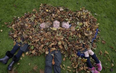 Tree Week Event Skibbereen Sunday March 5th