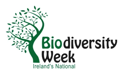 Biodiversity Week – Mayweed & other seaweeds