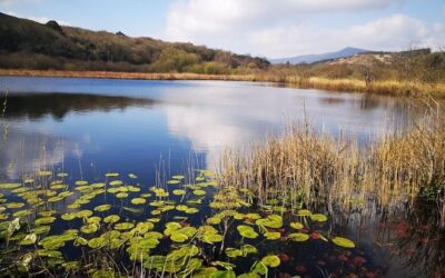Significant Water Management Issues