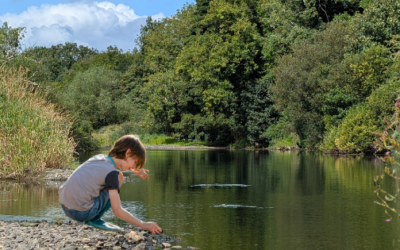 Conference “Protect Our Health, Water and Biodiversity from Pesticides”