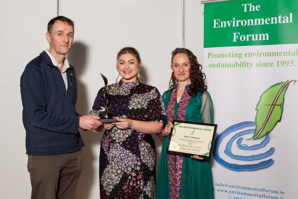 Gas Networks Ireland receiving the Public Sector Award